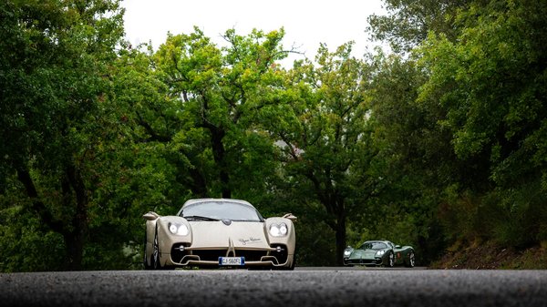 Descubre los beneficios del té matcha ecológico japonés