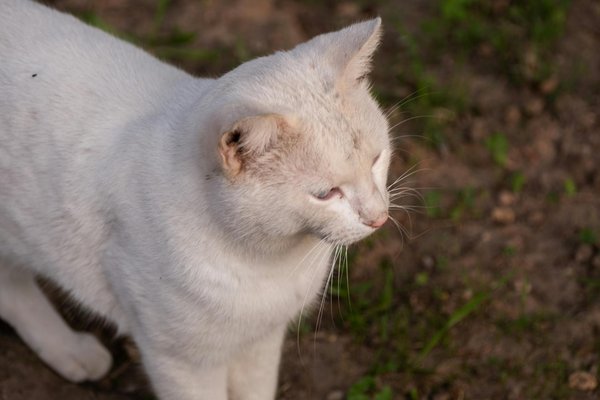 Guía creativa: cómo adaptar tu estilo de ropa al cambio de estación